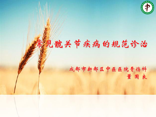 髋关节常见疾病的规范诊治
