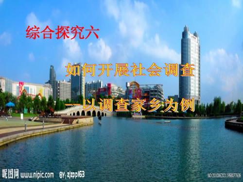 如何开展社会调-以调查家乡为例(最新优) 2