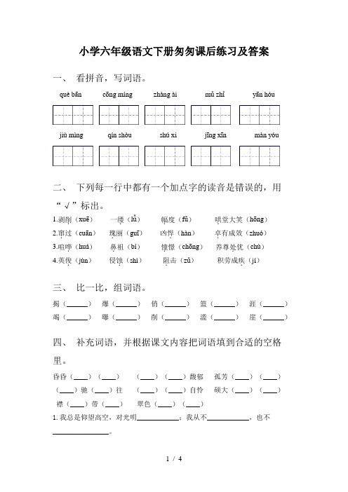 小学六年级语文下册匆匆课后练习及答案