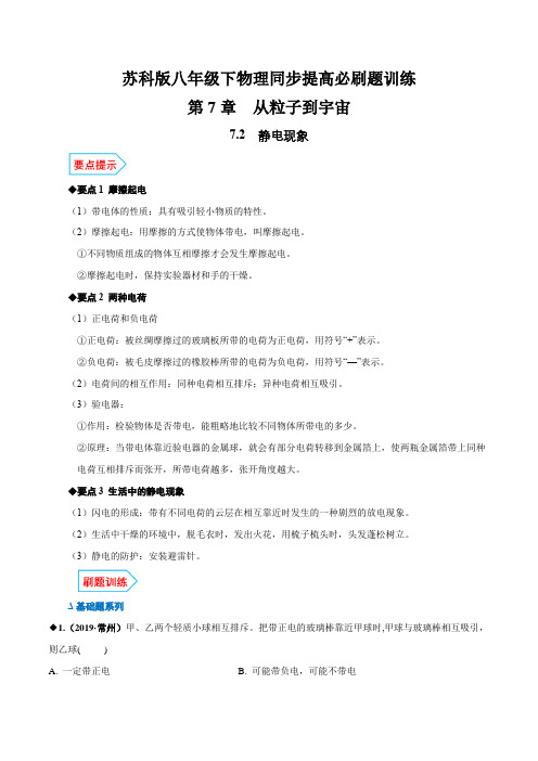 专题7.2 静电现象(解析版)