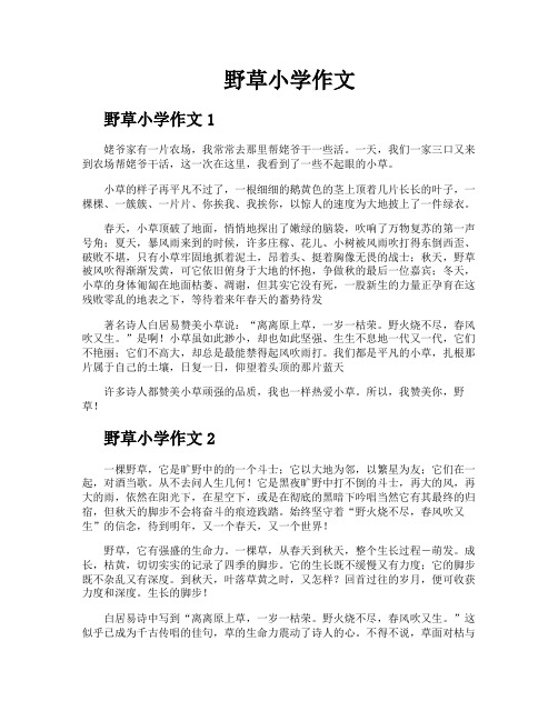 野草小学作文