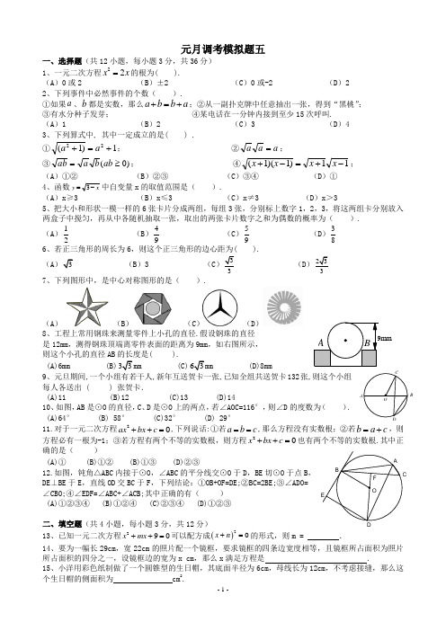 武汉市2011-2012元月调考数学模拟题五