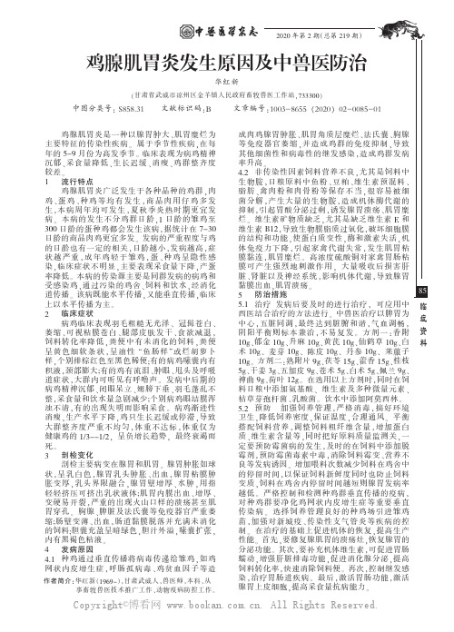 鸡腺肌胃炎发生原因及中兽医防治