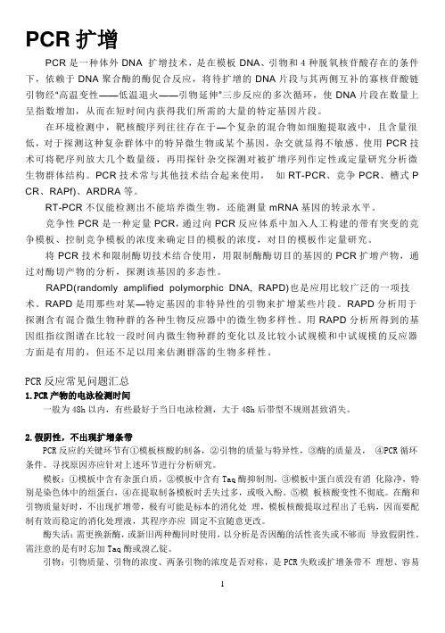 PCR扩增