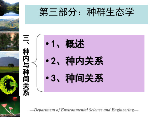 种内与种间关系