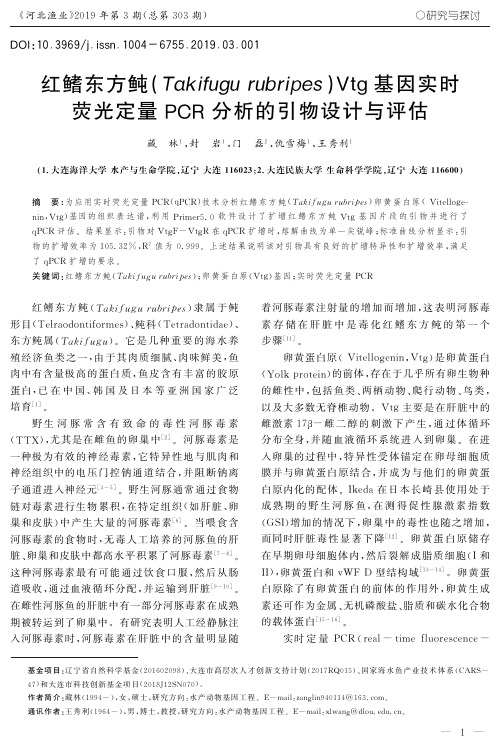 红鳍东方鲀(Takifugurubripes)Vtg基因实时荧光定量PCR分析的引物设计与评估