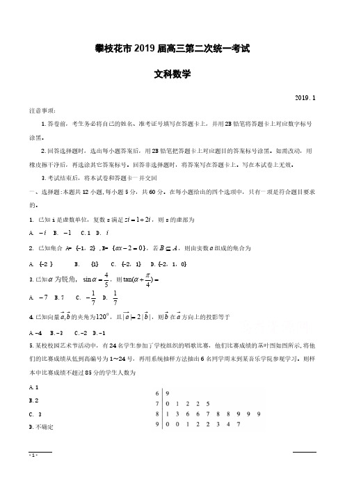 四川省攀枝花市2019届高三第二次统一考试数学(文)试卷(附答案)
