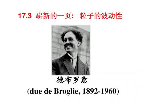 17.3崭新的一页   粒子的波动性