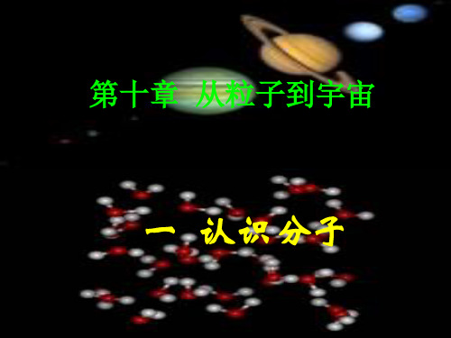 新沪粤版物理八年级下册第十章第1节认识分子 (共24张PPT)