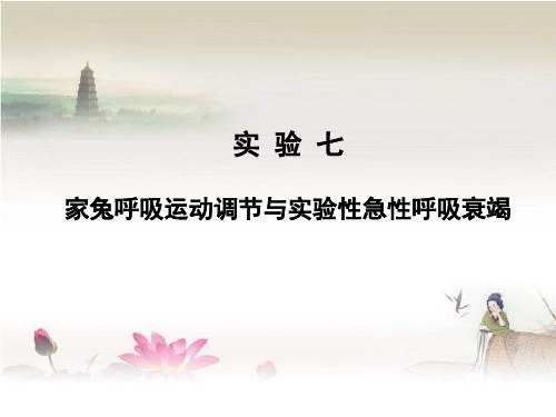 呼吸运动实验ppt