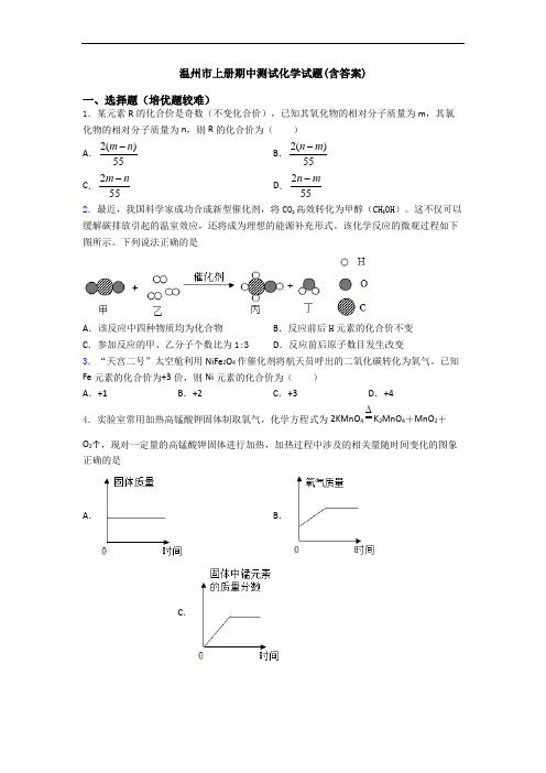 温州市上册期中测试化学试题(含答案)