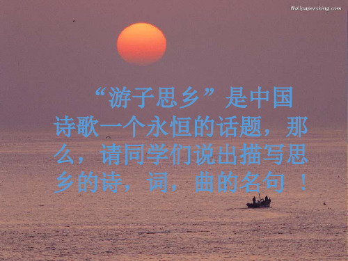 乡愁 初中九年级语文教学课件PPT 人教版