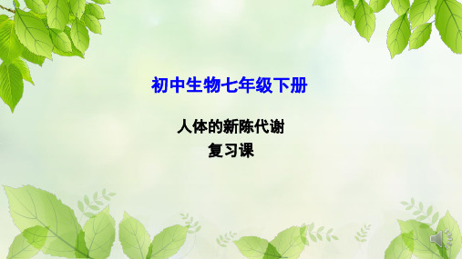 济南版初中生物七年级下册   人体的新陈代谢 复习课件(共48张PPT)
