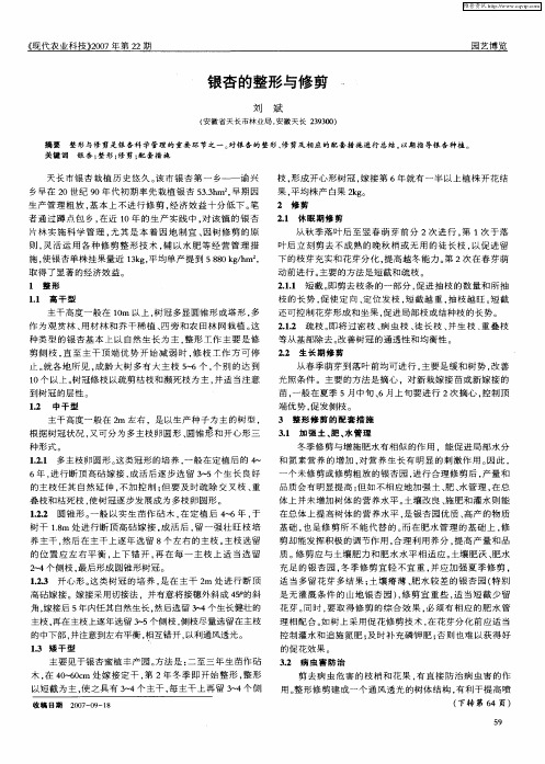 银杏的整形与修剪