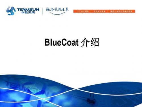 Bluecoat 负载均衡介绍