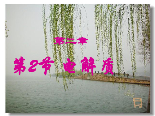 高中化学 电解质复习课件