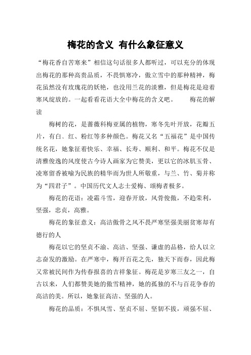 梅花的含义 有什么象征意义