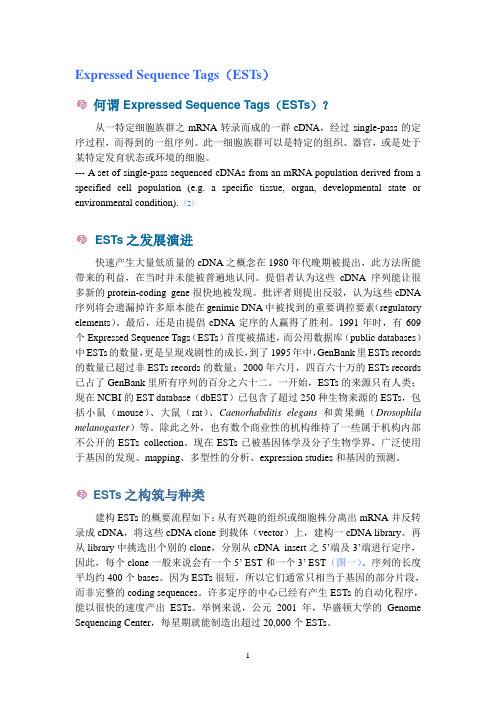EST之详细介绍