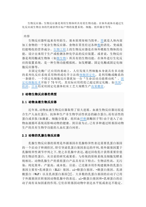 生物反应器