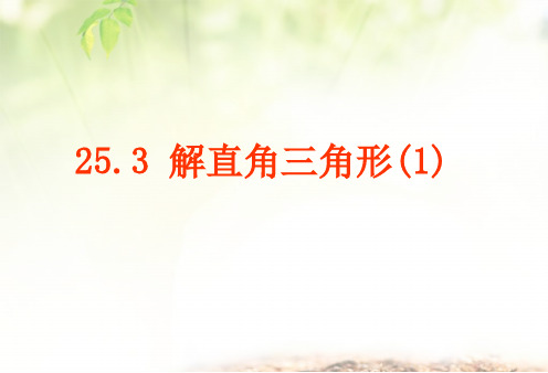 25.3解直角三角形(1)shao