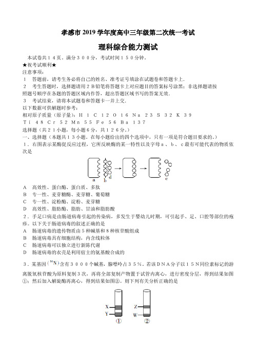 湖北省孝感市2019届高三第二次统一考试理综试题