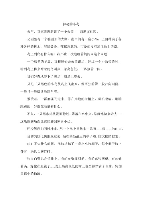神秘的小岛--作文
