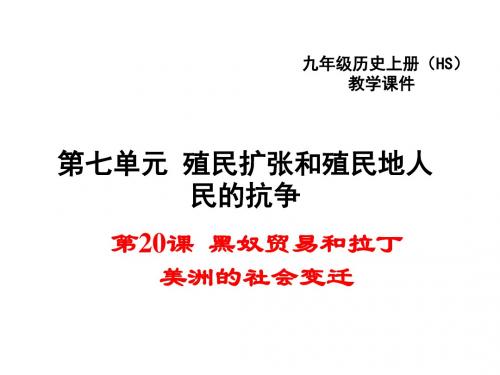 黑奴贸易和拉丁美洲的社会变迁精选教学PPT2 华东师大版