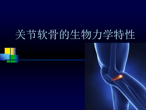 关节软骨的生物力学特性(课堂PPT)