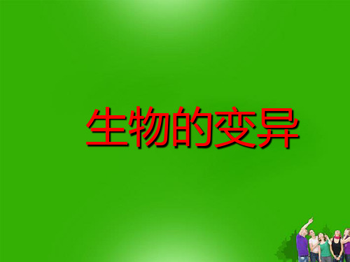 苏科版生物八下7.22.2《生物的变异》课件 (共30张PPT)