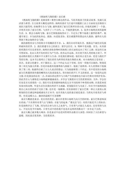 教海鸥飞翔的猫
