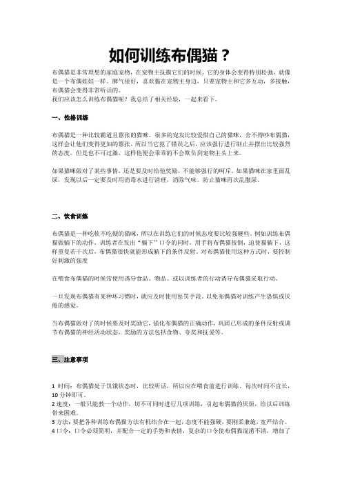 如何训练布偶猫？
