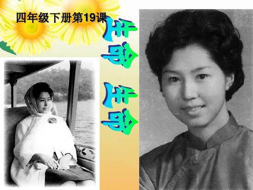 四下第五单元19《生命生命》PPT课件