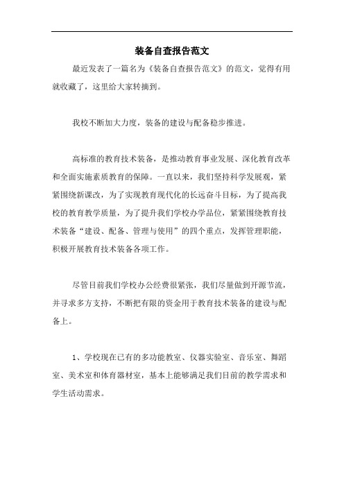 2020年装备自查报告范文