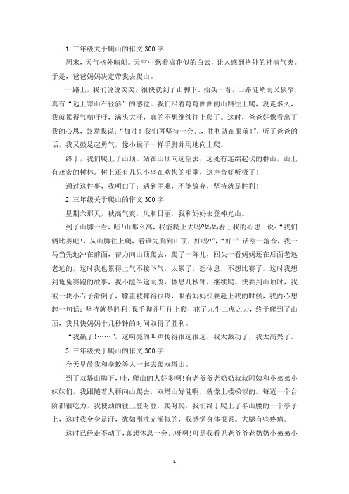三年级关于爬山的作文300字(精选)