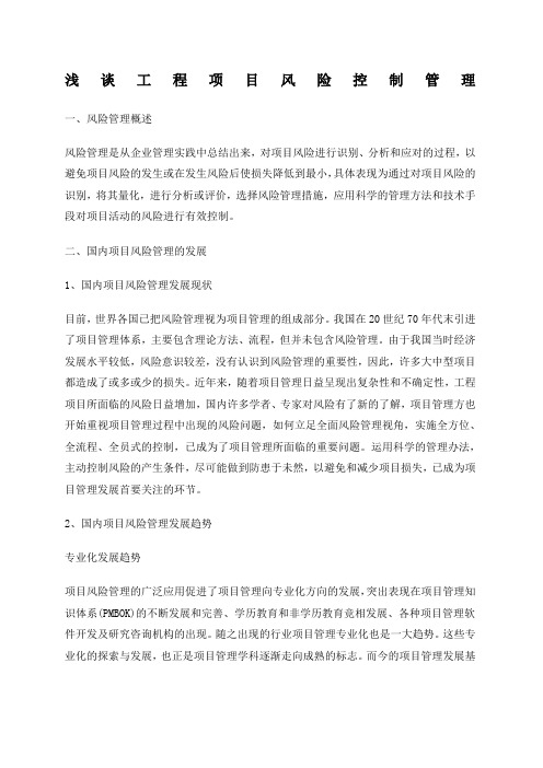 项目风险管理论文