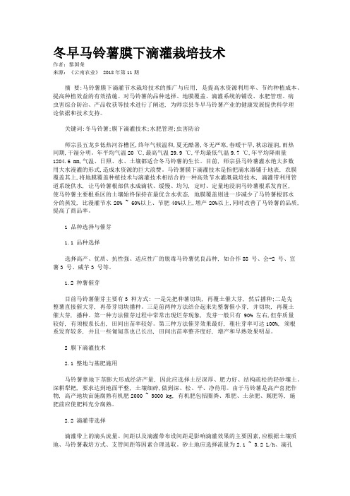 冬早马铃薯膜下滴灌栽培技术