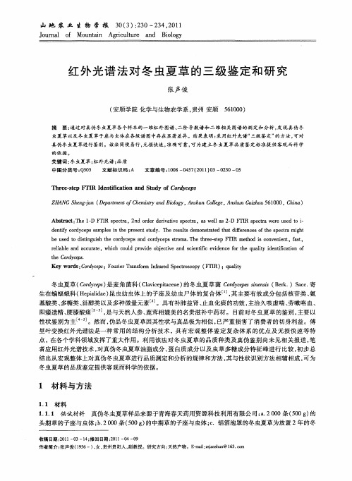 红外光谱法对冬虫夏草的三级鉴定和研究
