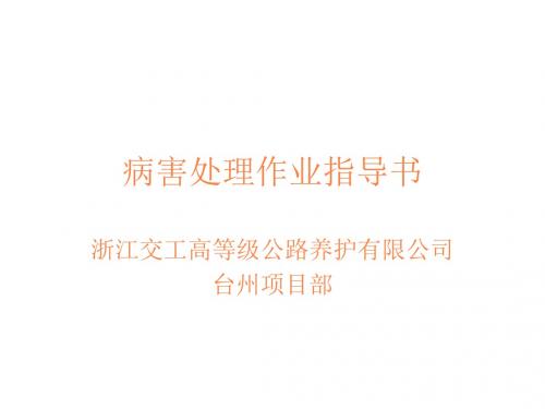 沥青路面病害处理PPT课件