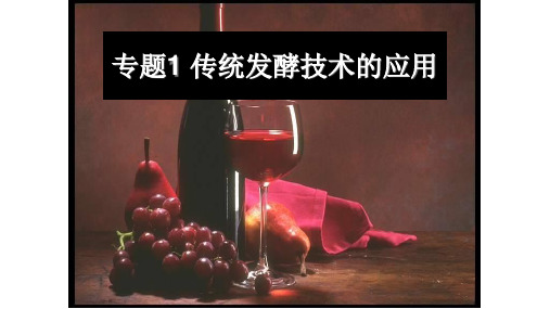 1-1 果酒和果醋的制作