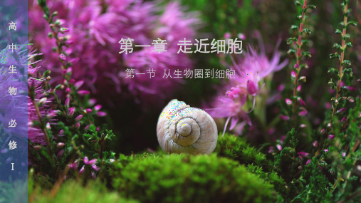 高中生物必修一-第一章-第一节(人教版)