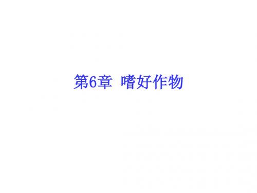经济作物学-6