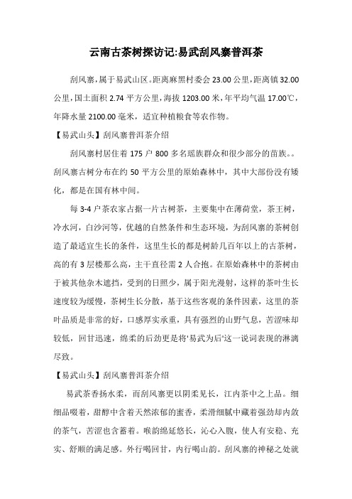 云南古茶树探访记易武刮风寨普洱茶