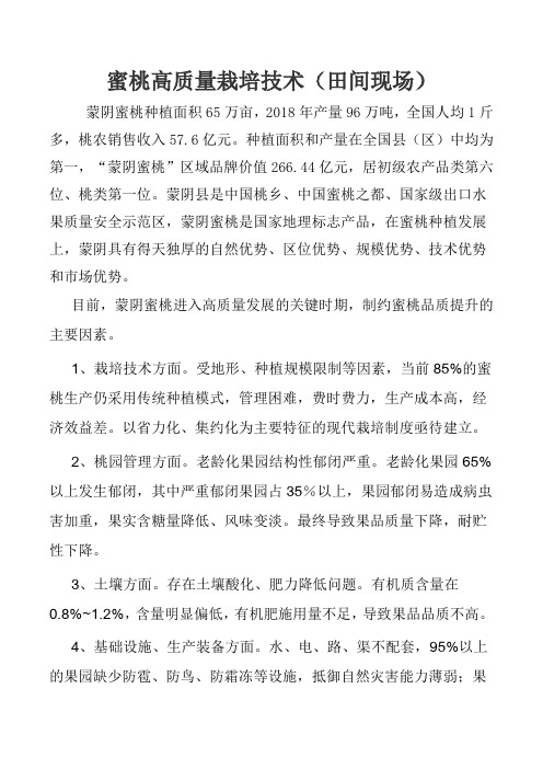 蜜桃高质量栽培技术(田间现场)