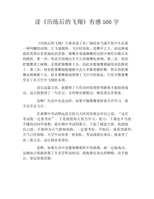 读《历练后的飞翔》有感500字