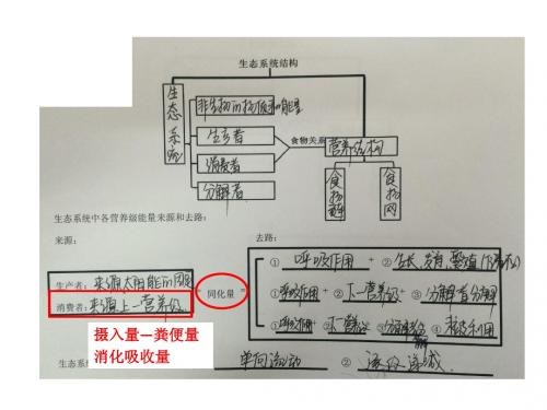 高中生物必修三5.3生态系统的物质循环