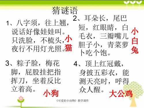 最新《可爱的小动物》教学课件