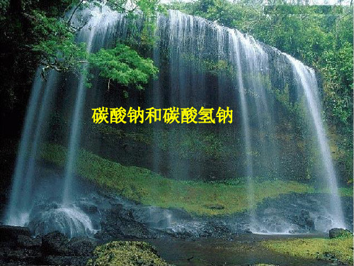 2-碳酸钠和碳酸氢钠rz-ywqPPT课件