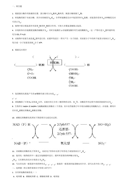 生物化学试题库及其答案——蛋白质降解和氨基酸代谢