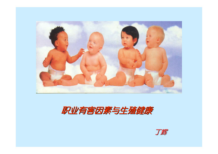 下载PPT - 职业有害因素与生殖健康