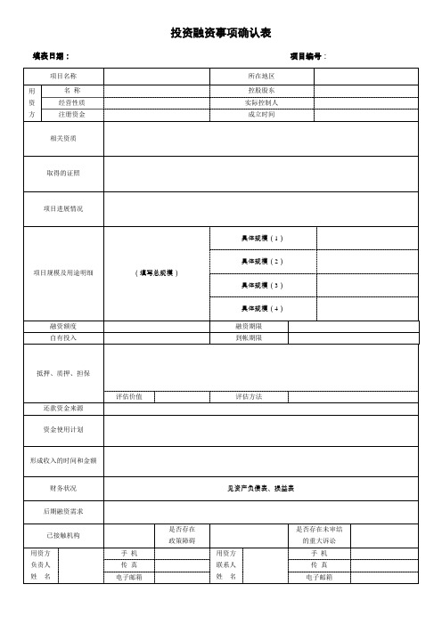 融资事项确认表(样表)